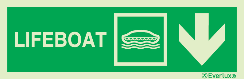 Photoluminescent 1.2mm rigid plastic 300x100mm Lifeboat IMO sign with directional arrow down 