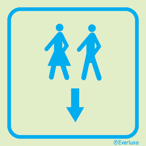 Photoluminescent 1.2mm rigid plastic 300x300mm Foot passengers sign