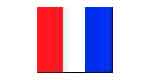 371530 FLAG SIGNAL LETTER 4'X 6' "T"