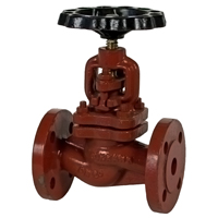PN16 Ductile Iron Globe Regular Valve - Size 50