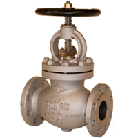 20K Cast Steel Globe Valve - 125 - with Factory Certificate (MTR)