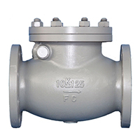 10K Cast Iron Swing Check Valve - 50