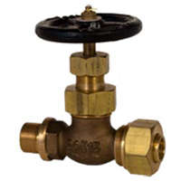 20K Bronze Globe Valve - S - 06