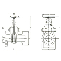PN16 Cast Iron Gate NRS Valve - Size 125