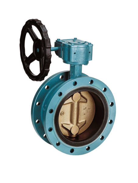 Double-Flange Butterfly Valve Worm Gear